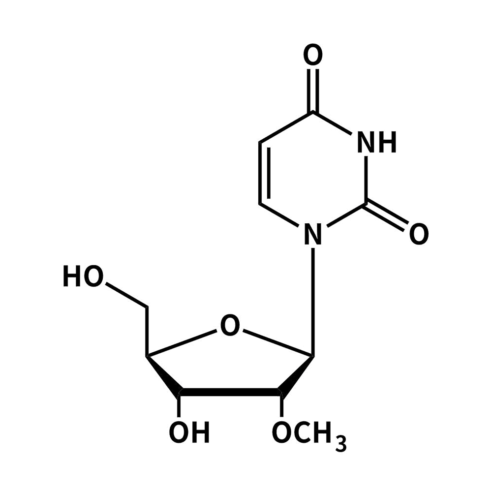 2’-甲氧基尿苷