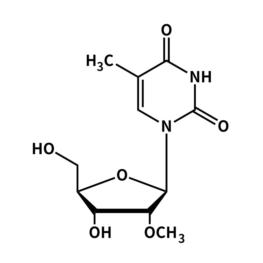 5-甲基-2'-甲氧基尿苷