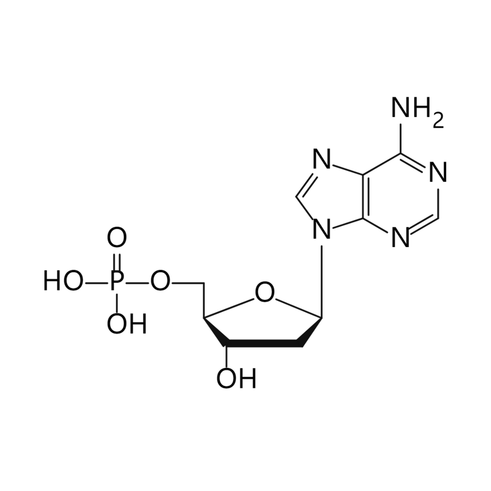 2‘-脱氧腺苷酸
