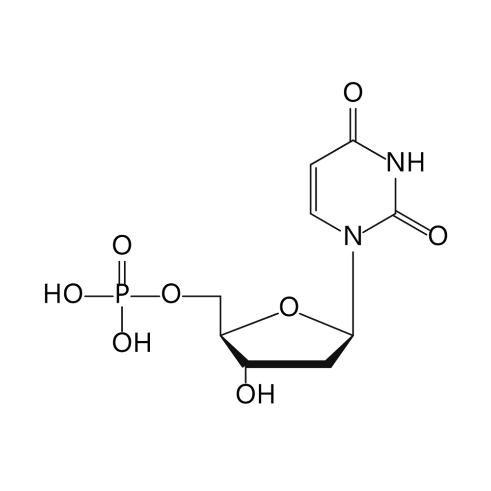 2‘-脱氧尿苷酸